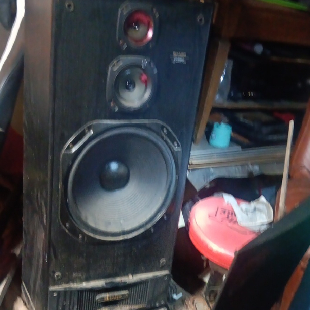 Black Speaker System